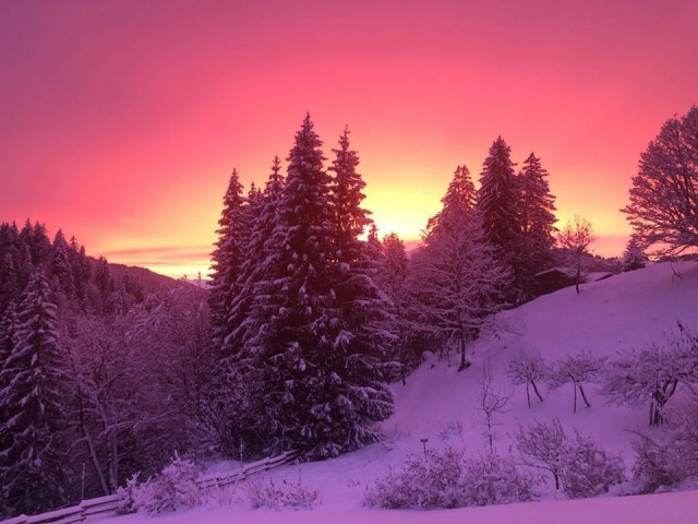 _clients_227359002_photos_79j_7630344 _clients_227359002_photos_79j_7630344