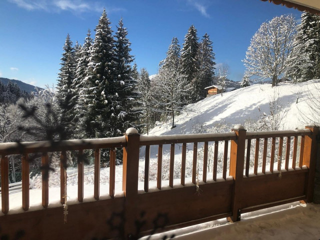 _clients_227359002_photos_79k_7725462