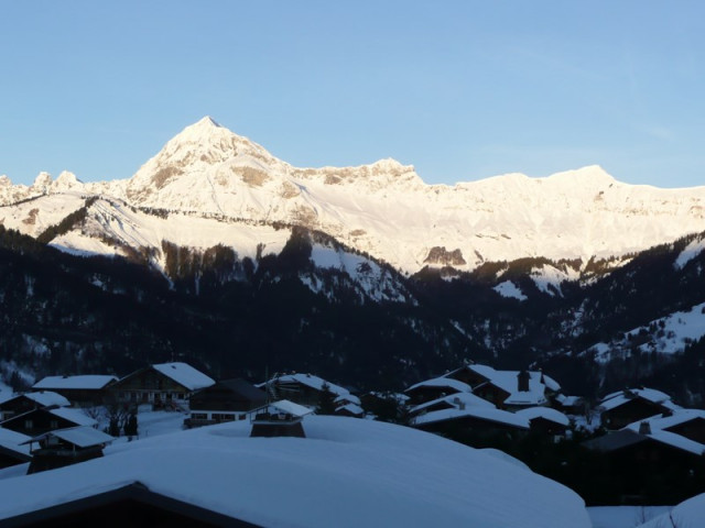 _clients_227359002_photos_87m_7161676