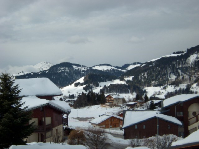 _clients_227359002_photos_87n_8324785 _clients_227359002_photos_87n_8324785