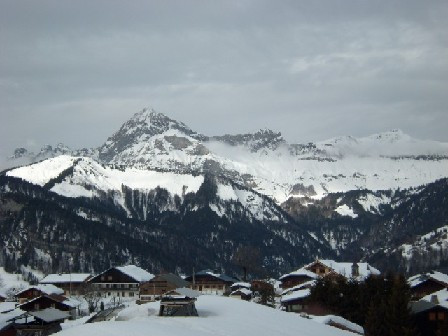 _clients_227359002_photos_96k_7428746