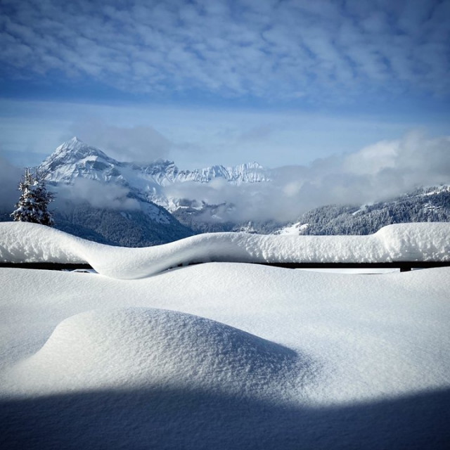 _clients_227359002_photos_9j_7167275