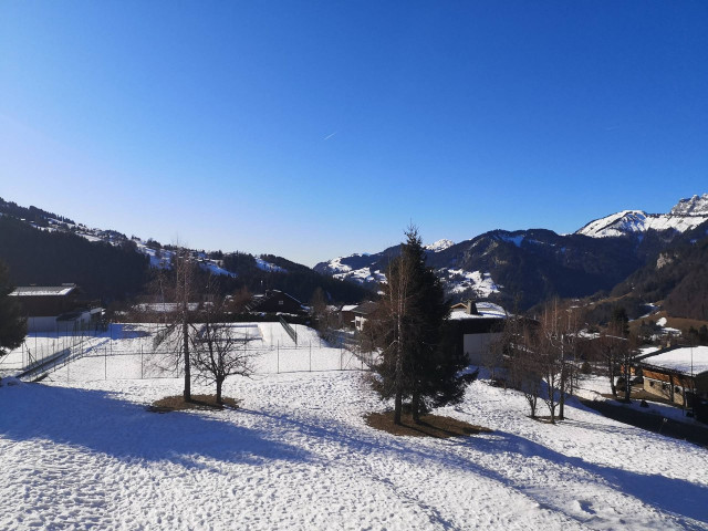 _clients_227459001_photos_17623l_7550592