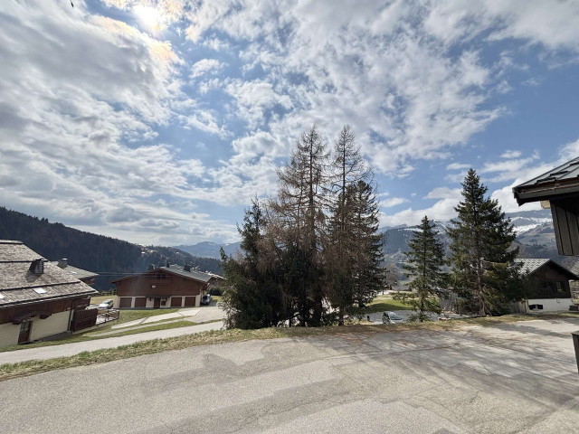 _clients_227459001_photos_17630s_7304297