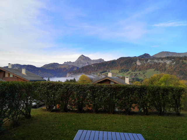 _clients_227459001_photos_17641h_7754640