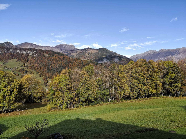 _clients_227459001_photos_17643g_7546814