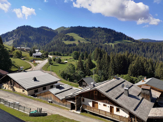 _clients_227459001_photos_17646j_7368196