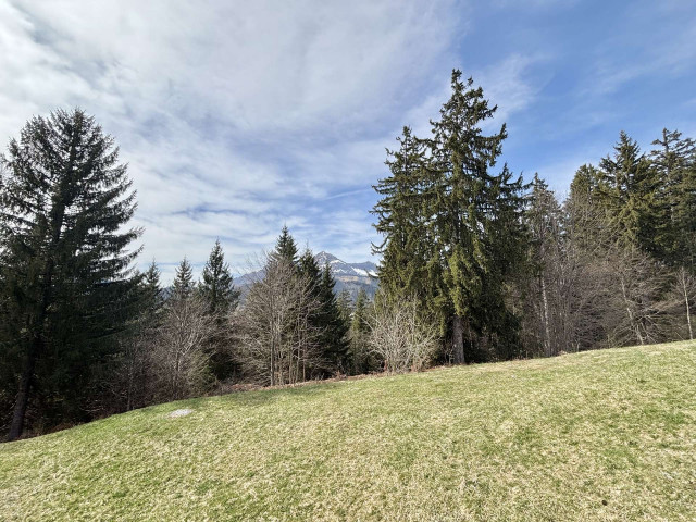 _clients_227459001_photos_17658r_7201906