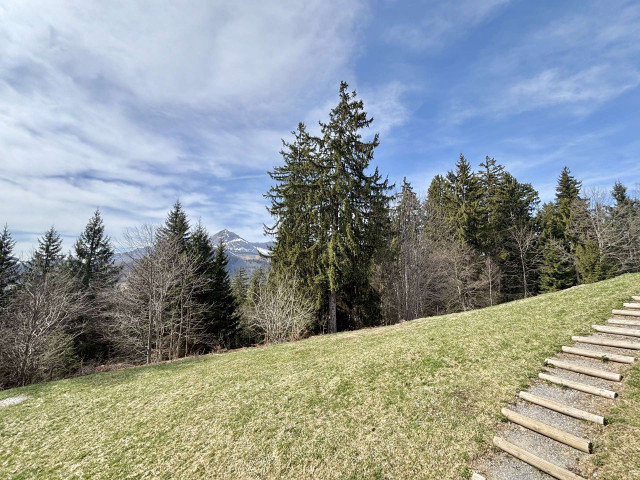 _clients_227459001_photos_17658t_7576229 _clients_227459001_photos_17658t_7576229