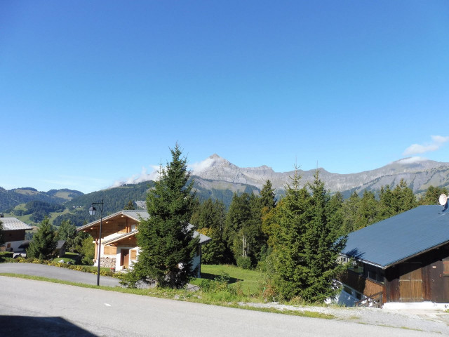 _clients_227459001_photos_17662f_6938691 _clients_227459001_photos_17662f_6938691