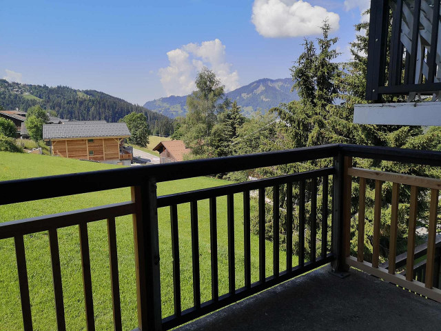 _clients_227459001_photos_17704k_7056735