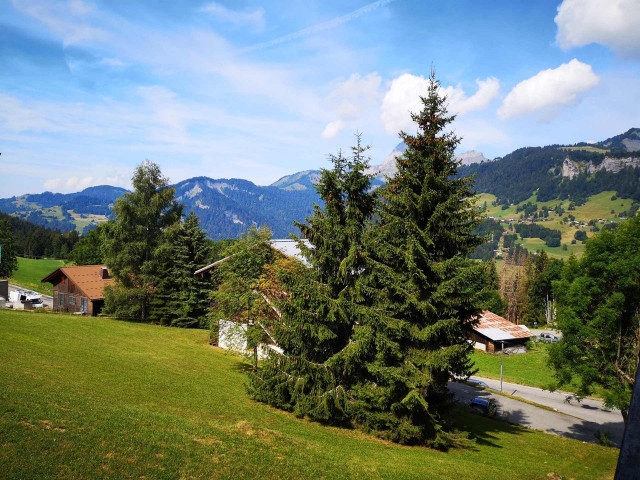 _clients_227459001_photos_17750h_6856261 _clients_227459001_photos_17750h_6856261