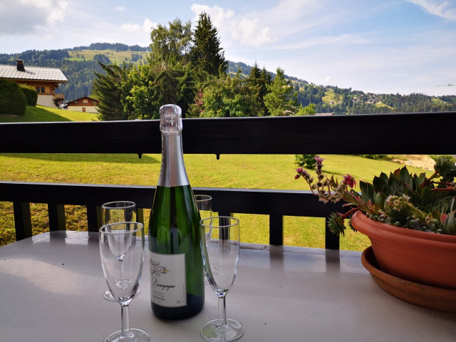 _clients_227459001_photos_17750i_7688793