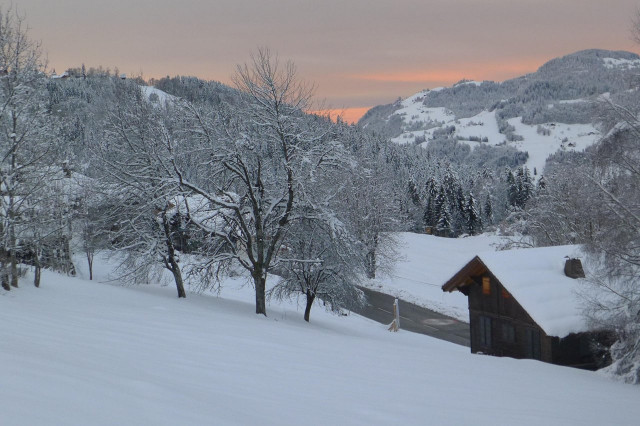 _clients_227459001_photos_17750k_7668403 _clients_227459001_photos_17750k_7668403