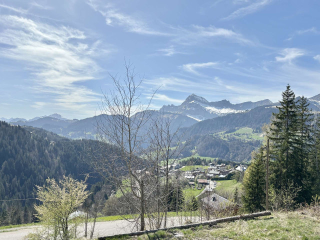 _clients_227459001_photos_17753au_6765898