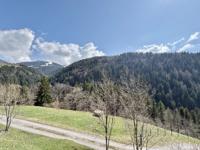 _clients_227459001_photos_17777o_7586841