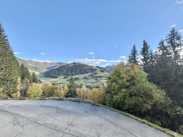 _clients_227459001_photos_17818v_7322415