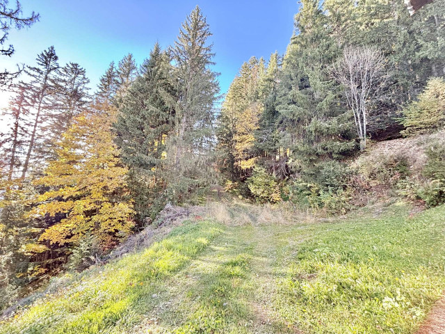 _clients_227459001_photos_17818x_7689136