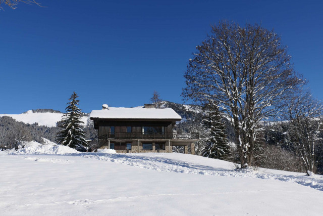 _clients_227459001_photos_20799l_6766443