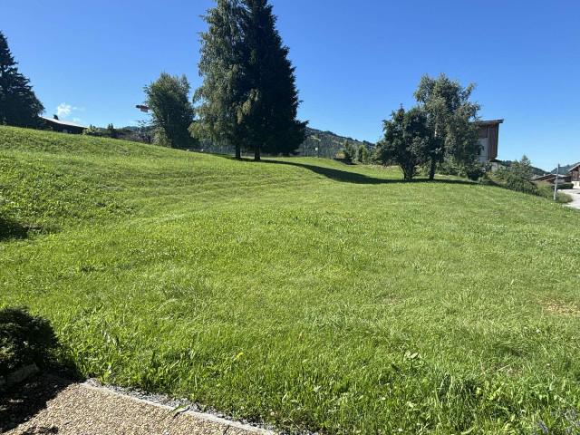 _clients_227459001_photos_21211p_6998692 _clients_227459001_photos_21211p_6998692