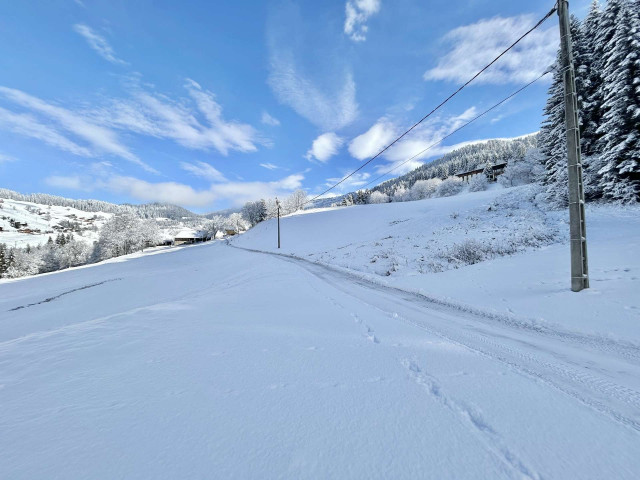 _clients_227459001_photos_24034ak_7674744 _clients_227459001_photos_24034ak_7674744