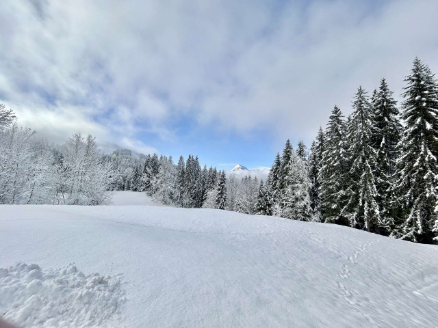 _clients_227459001_photos_24034al_6939783 _clients_227459001_photos_24034al_6939783