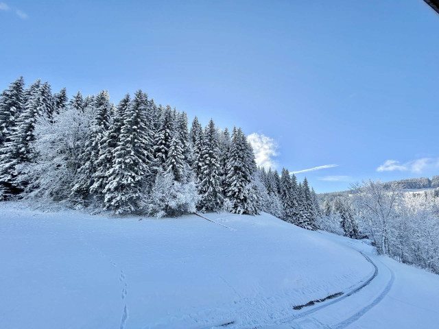 _clients_227459001_photos_24034am_6836648 _clients_227459001_photos_24034am_6836648