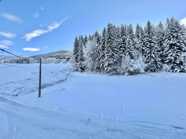 _clients_227459001_photos_24034an_7391868