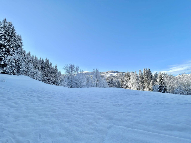 _clients_227459001_photos_24034ao_7674753 _clients_227459001_photos_24034ao_7674753