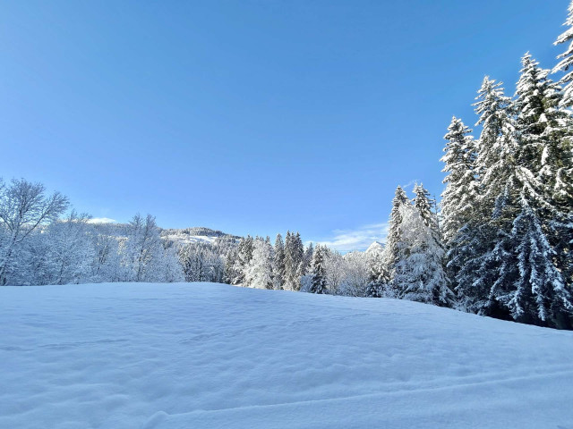 _clients_227459001_photos_24034ap_6830394