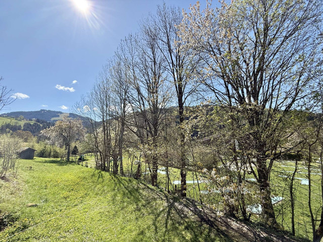 _clients_227459001_photos_24901s_7721699