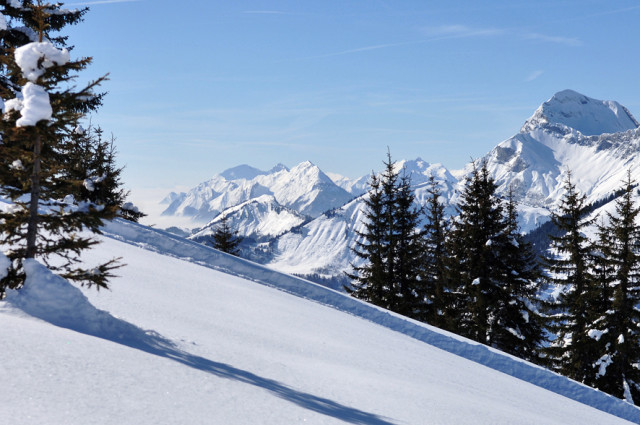 _lv_images___imme_0000040002_03_3775720