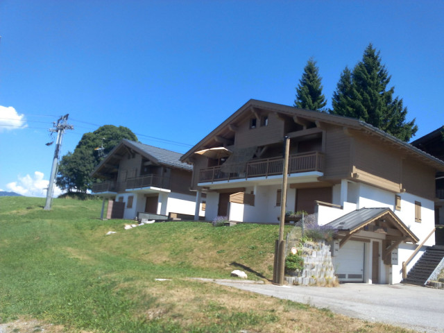 _lv_images___imme_0000050009_03_3776035