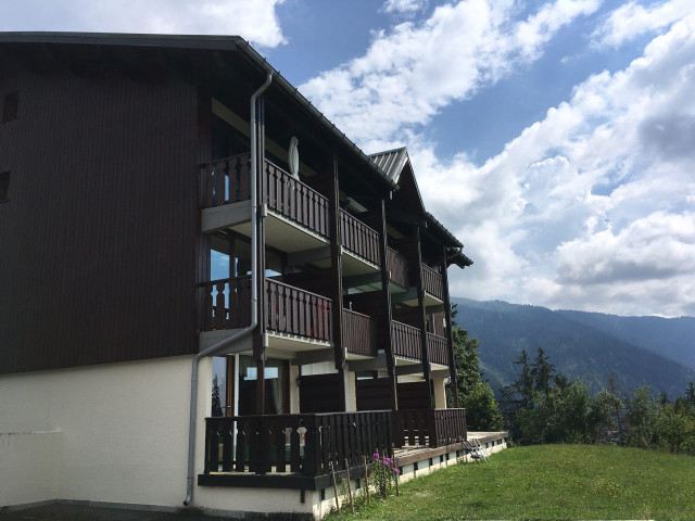 _lv_images___imme_0000050011_01_3776017