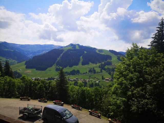 _lv_images___lot_0400124053_08_3775867