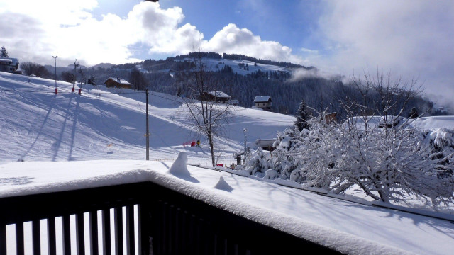 _lv_images___lot_0700087337_08_3775686 _lv_images___lot_0700087337_08_3775686