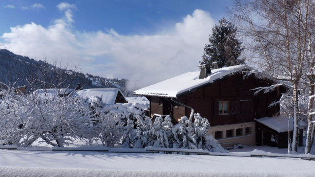 _lv_images___lot_0700087337_09_3775687 _lv_images___lot_0700087337_09_3775687