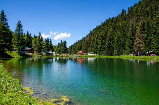 _lv_images___lot_0700087396_08_3775786 _lv_images___lot_0700087396_08_3775786