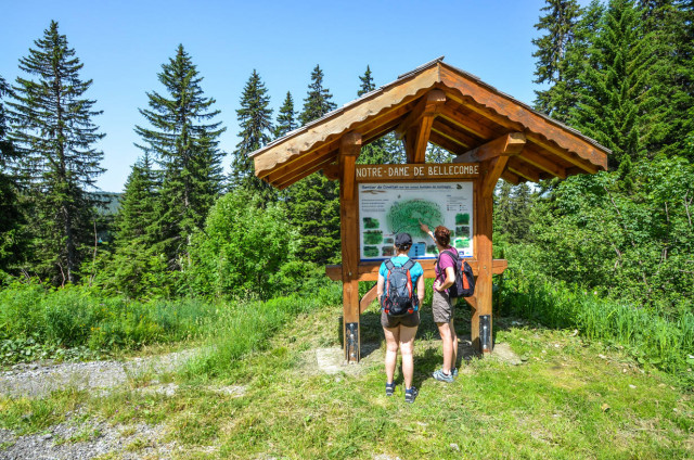 _lv_images__imme_0000000002_09_7743025