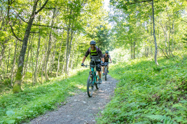 _lv_images__imme_0000000012_02_7063914