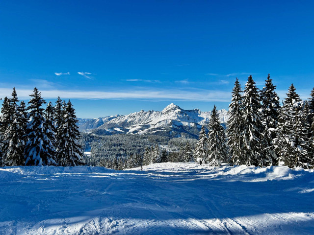 _lv_images__imme_0000000014_16_8104242