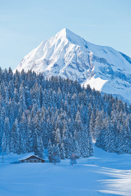 _lv_images__imme_0000000021_08_7319167