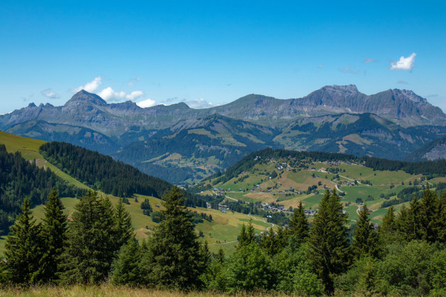 _lv_images__imme_0000000022_11_6833384 _lv_images__imme_0000000022_11_6833384