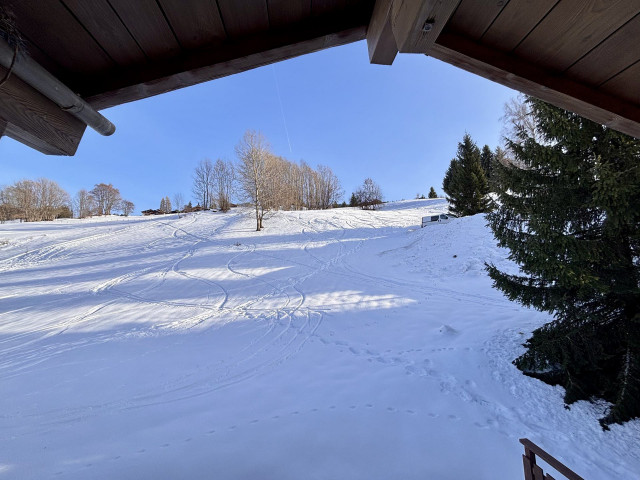 _lv_images__imme_0000000045_14_7682349 _lv_images__imme_0000000045_14_7682349