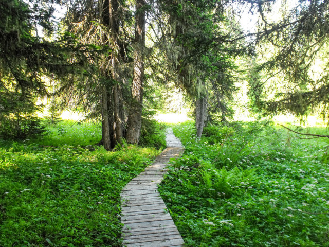 _lv_images__imme_0000000050_06_7276600 _lv_images__imme_0000000050_06_7276600