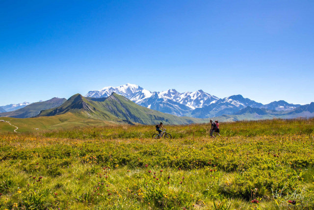 _lv_images__imme_0000000050_12_7260501 _lv_images__imme_0000000050_12_7260501