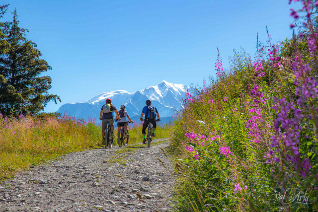 _lv_images__imme_0000000054_04_7558013