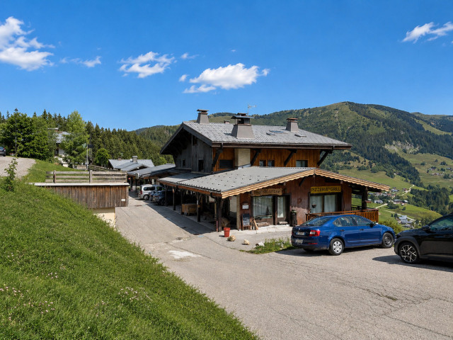 _lv_images__imme_0000000085_01_8447772 _lv_images__imme_0000000085_01_8447772