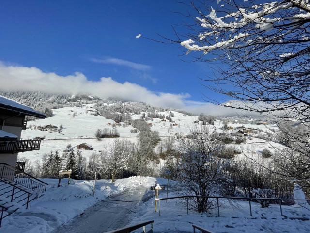_lv_images__imme_0000000086_11_7921476 _lv_images__imme_0000000086_11_7921476
