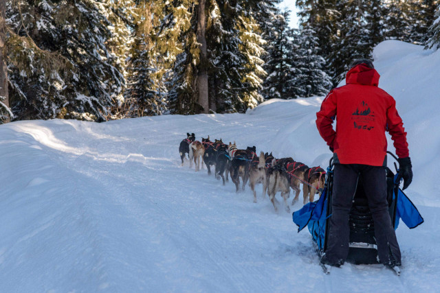 _lv_images__imme_0000000096_04_7750834